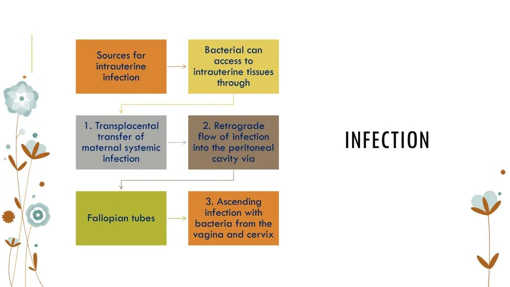 bacterial can access to intrauterine tissues