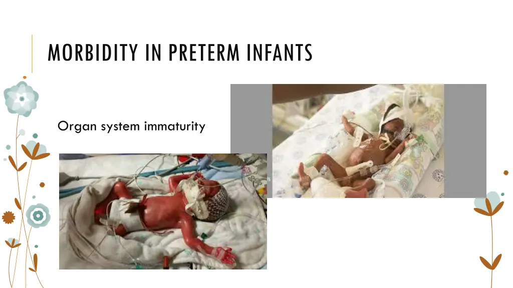 morbidity in preterm infants