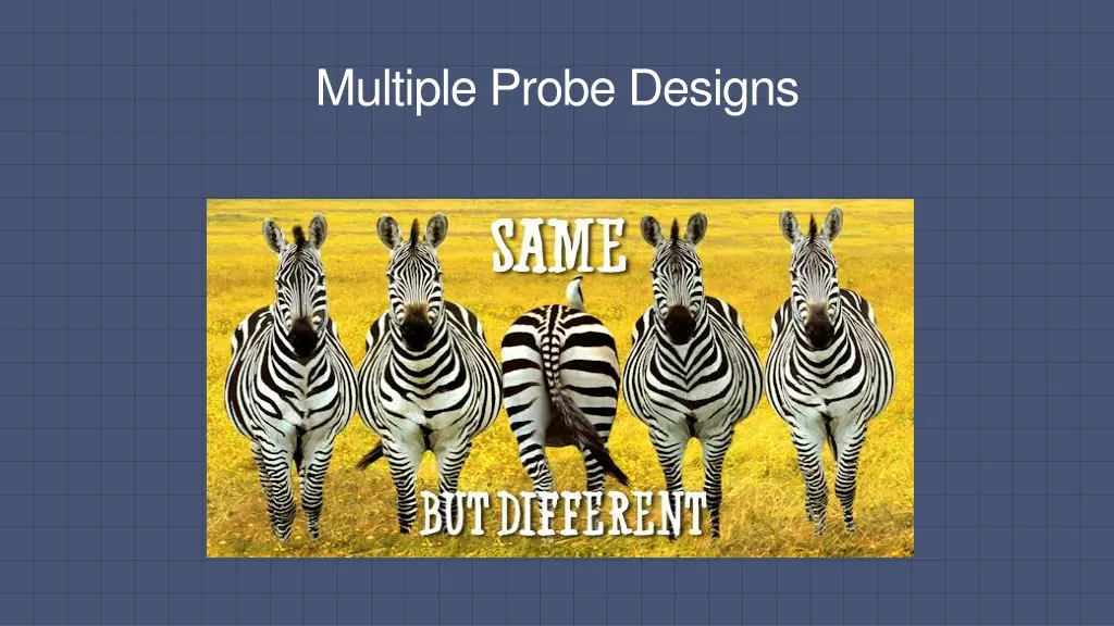 multiple probe designs