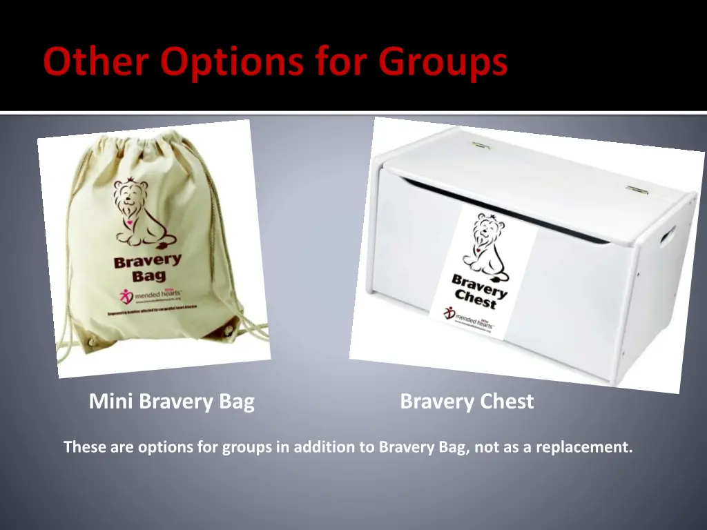 mini bravery bag