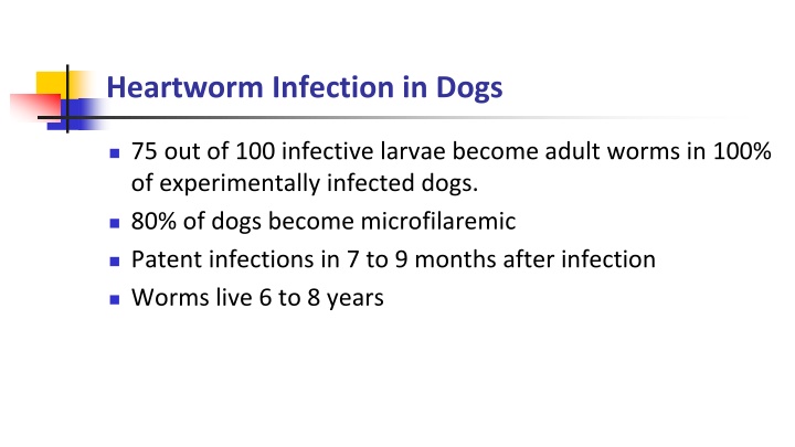 heartworm infection in dogs