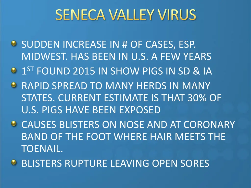 seneca valley virus