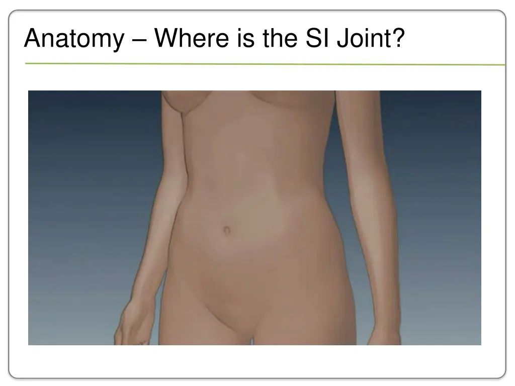 anatomy where is the si joint