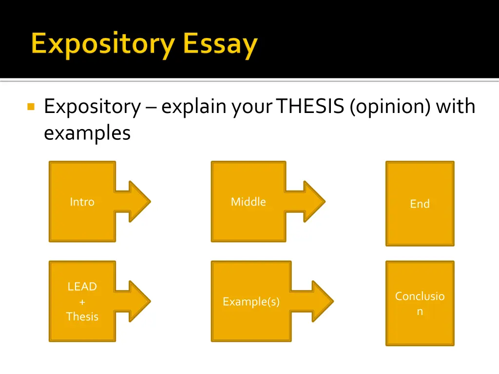 expository explain your thesis opinion with