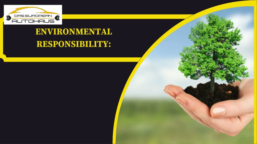 environmental responsibility