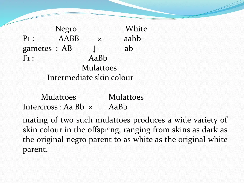 negro white p1 aabb aabb gametes ab ab f1 aabb