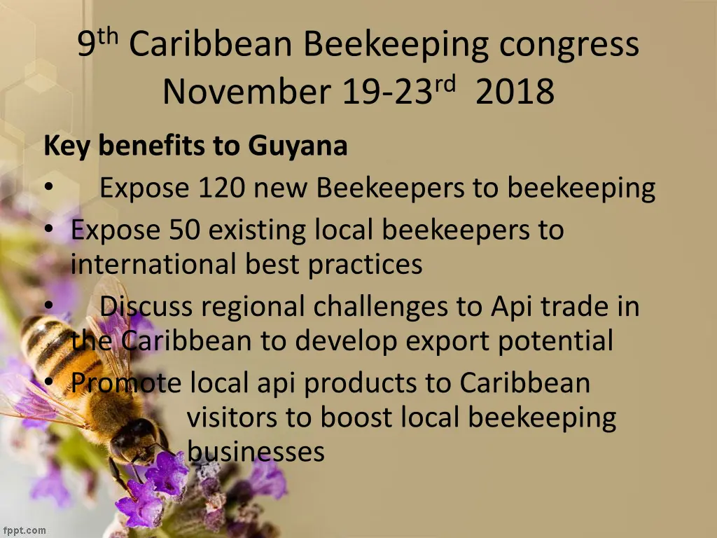 9 th caribbean beekeeping congress november