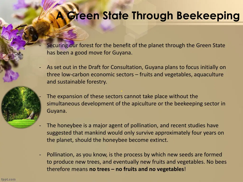 a green state through beekeeping