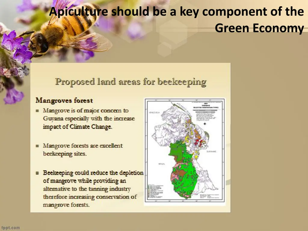 apiculture should be a key component of the 1