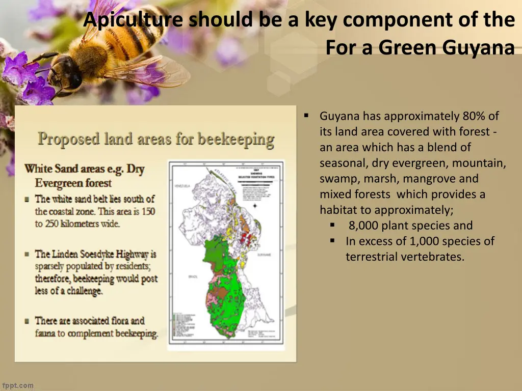 apiculture should be a key component of the