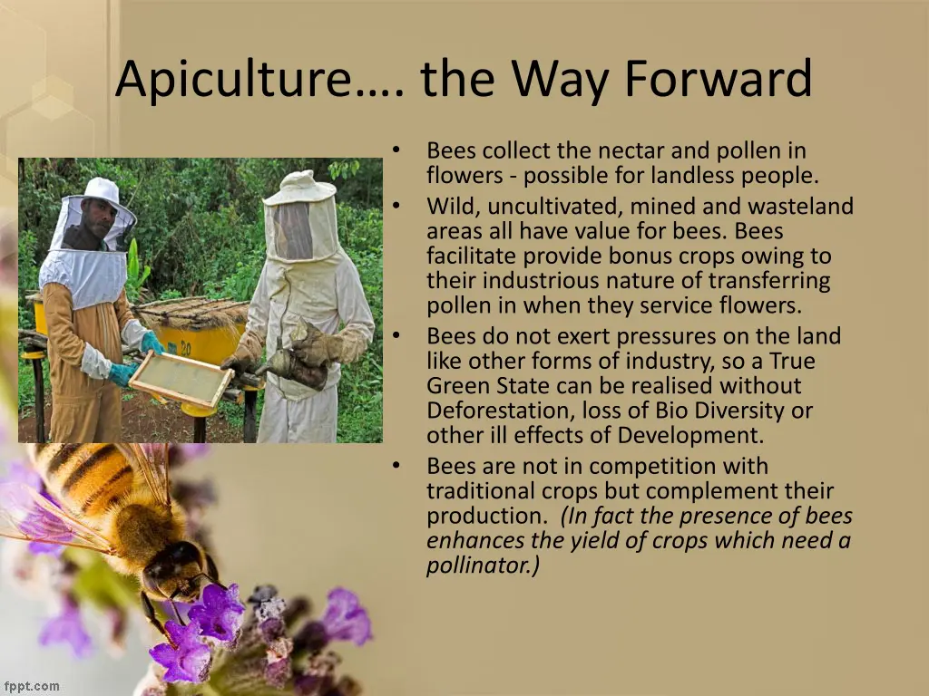 apiculture the way forward 1