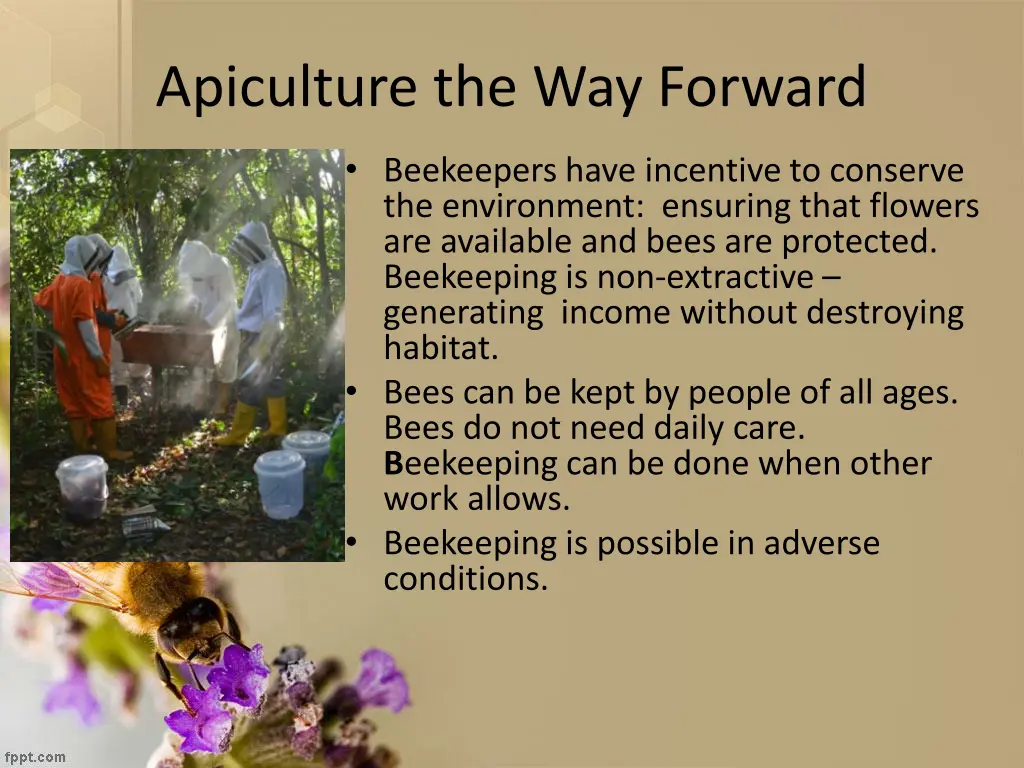 apiculture the way forward 3