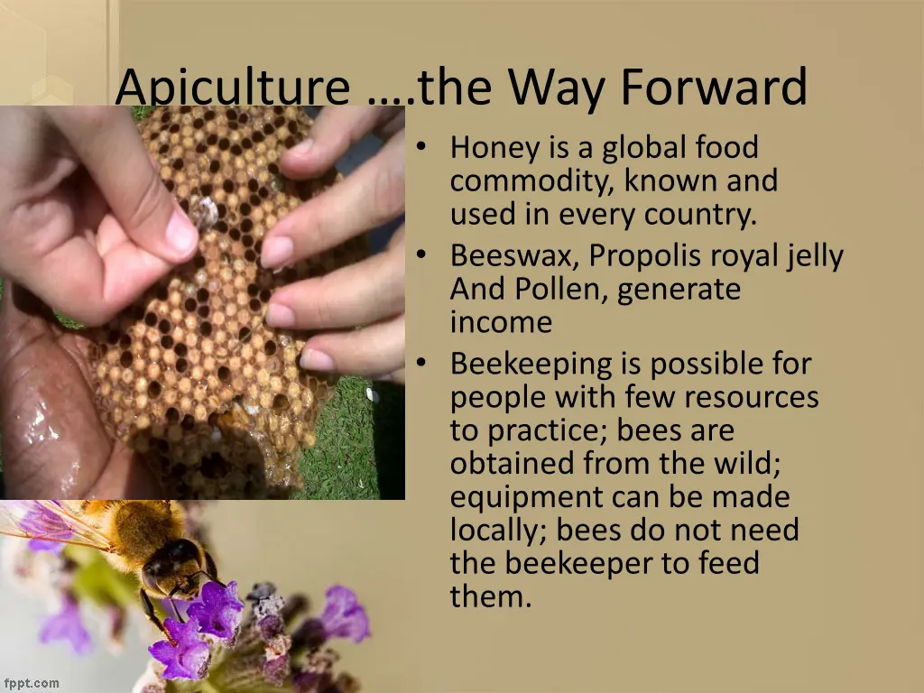 apiculture the way forward honey is a global food