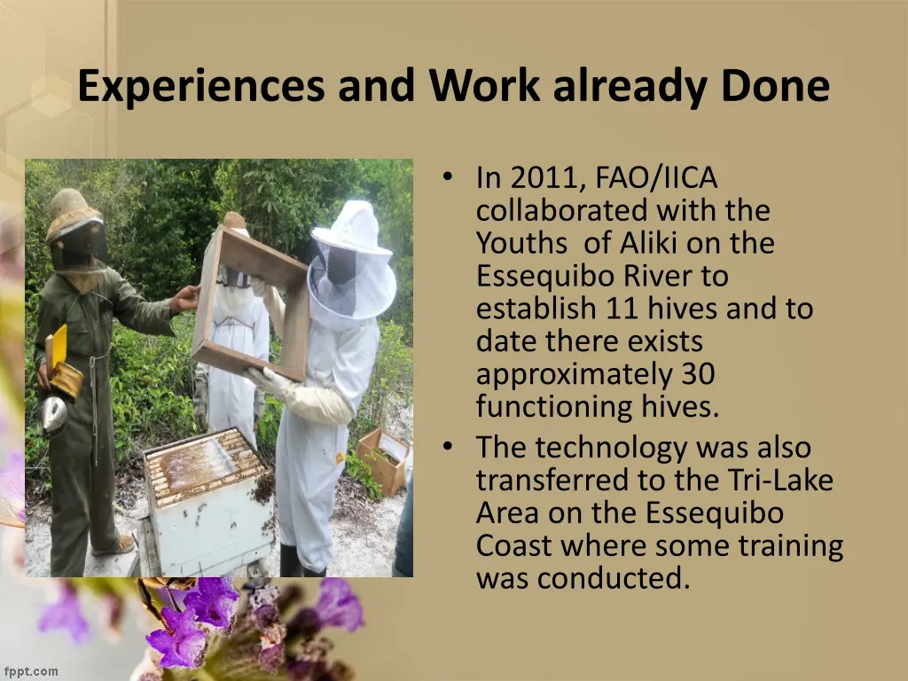 experiences and work already done 2