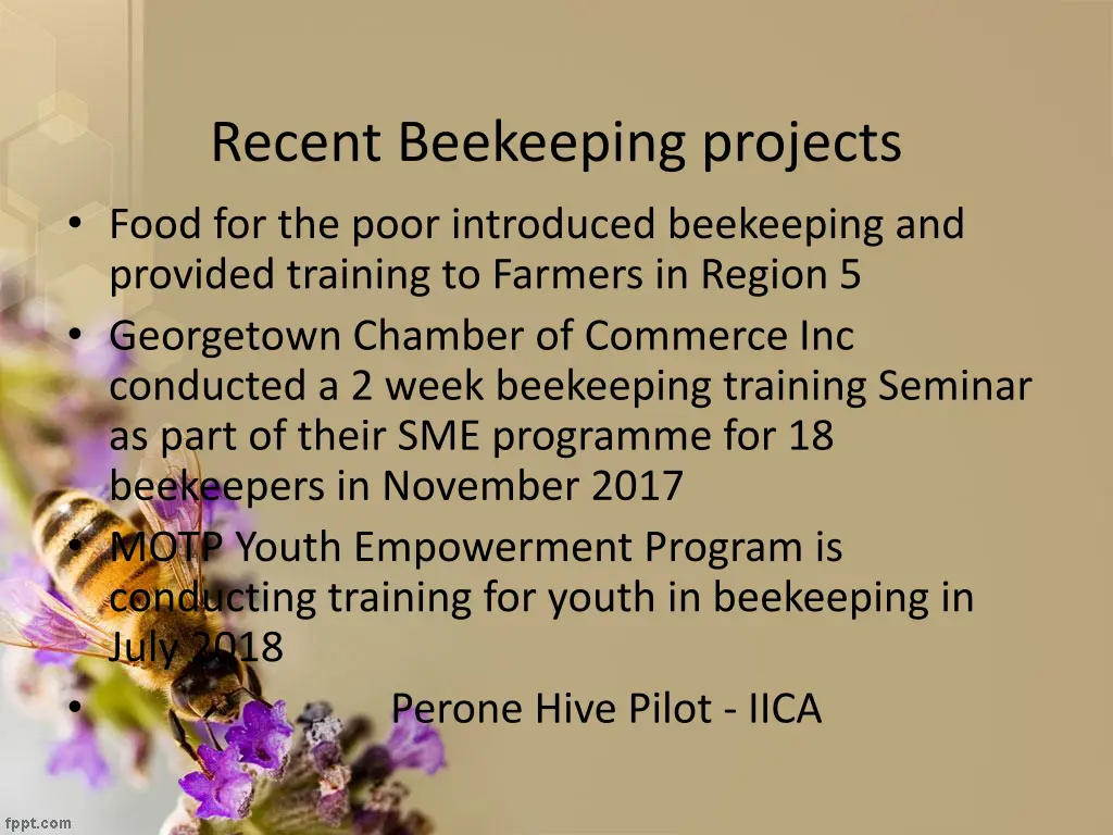 recent beekeeping projects food for the poor