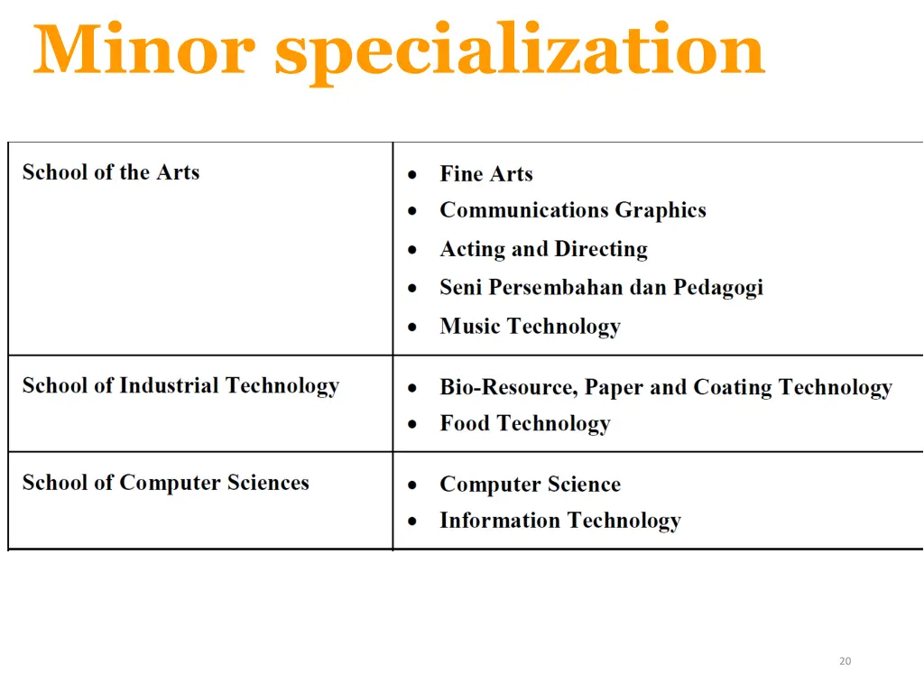 minor specialization 2