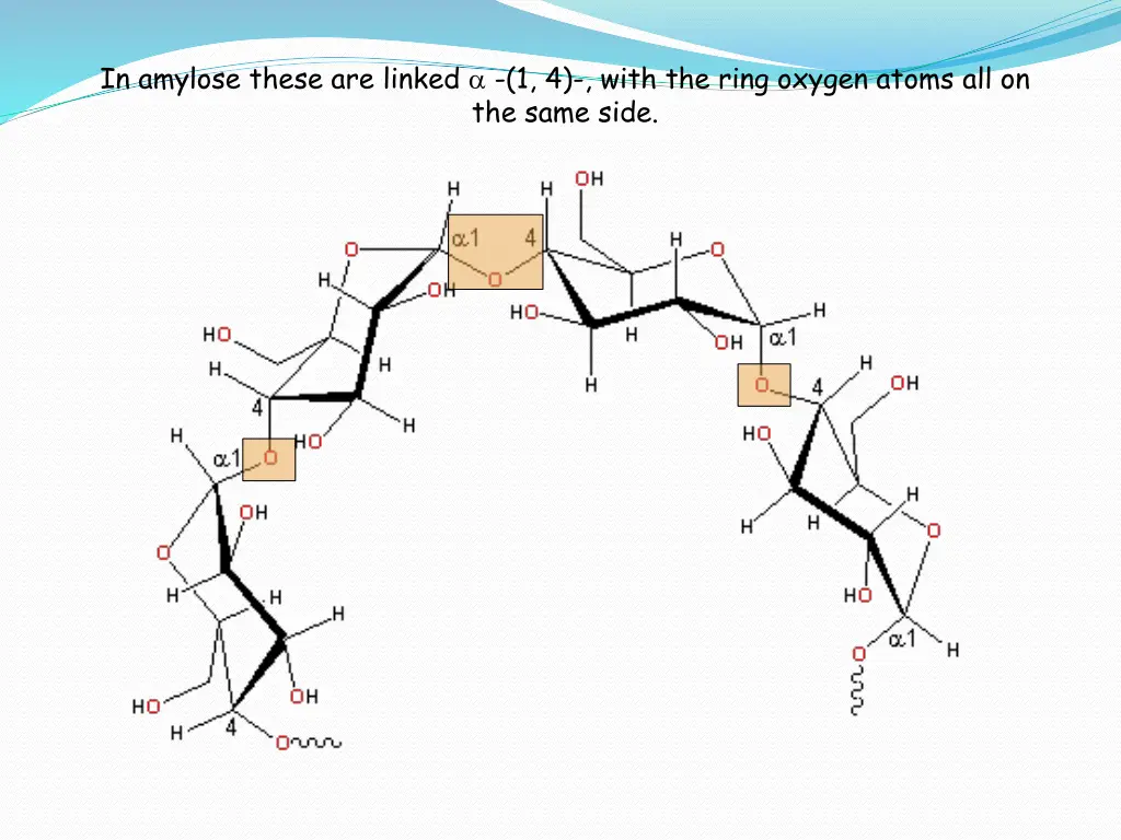 in amylose these are linked 1 4 with the ring