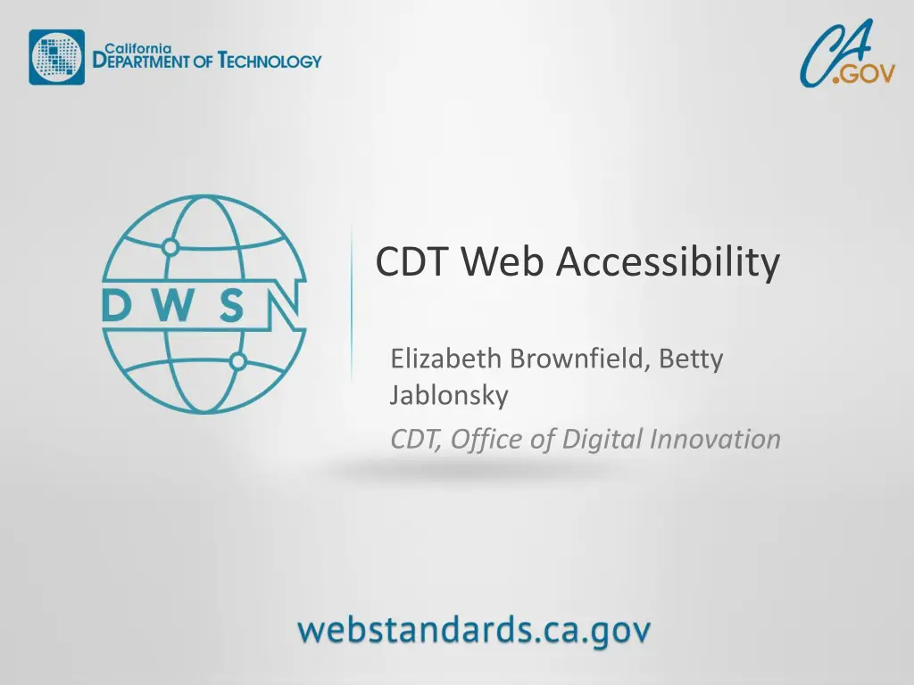 cdt web accessibility