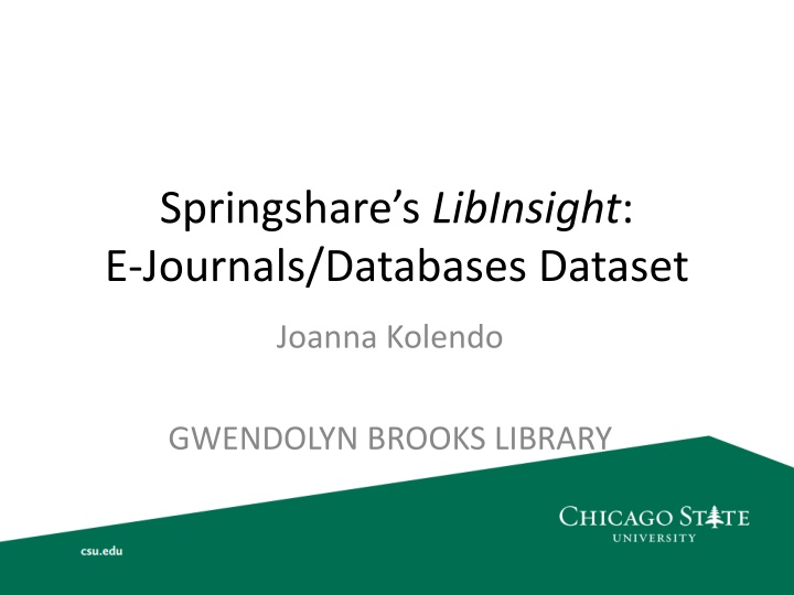 springshare s libinsight e journals databases