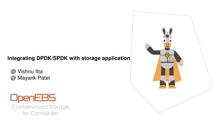 integrating dpdk spdk with storage application