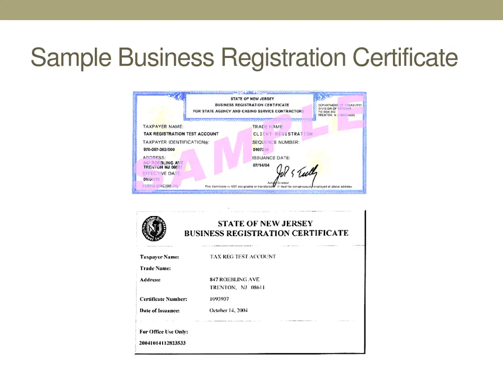 sample business registration certificate