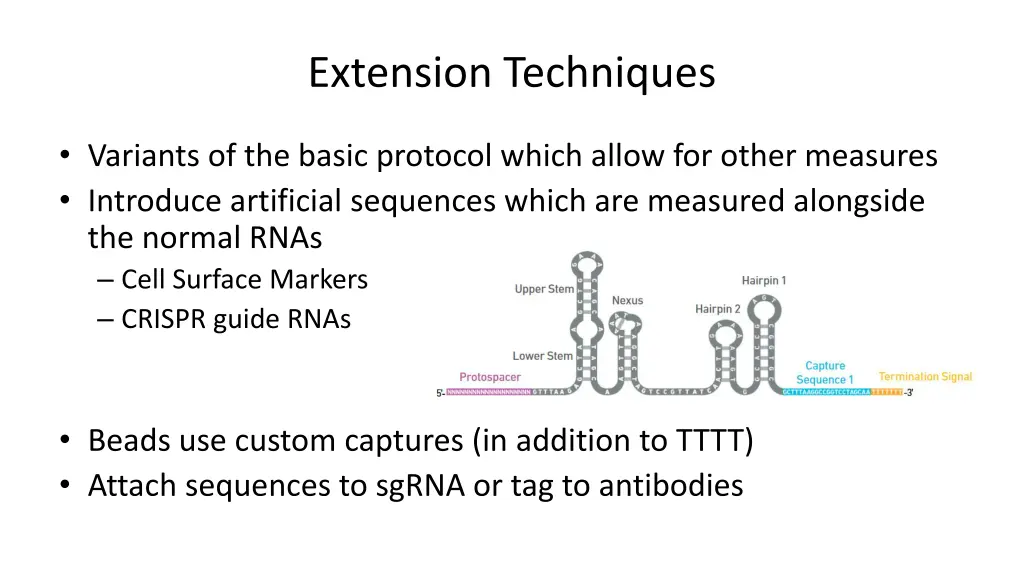 extension techniques