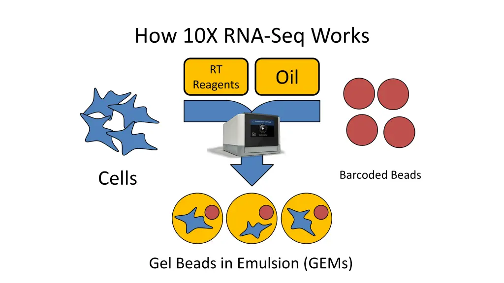 how 10x rna seq works