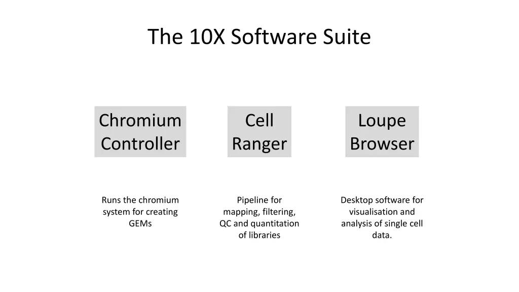 the 10x software suite