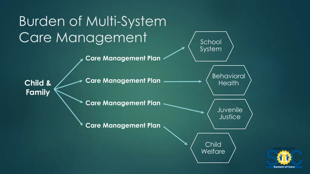 burden of multi system care management