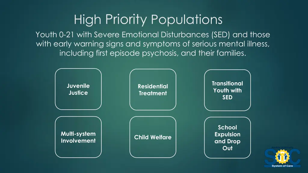 high priority populations youth 0 21 with severe