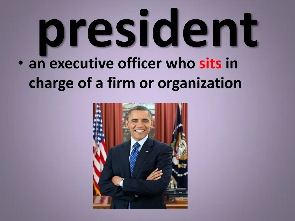 president an executive officer who sits in charge