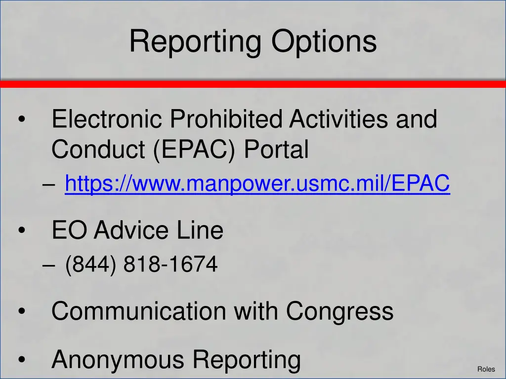 reporting options 1