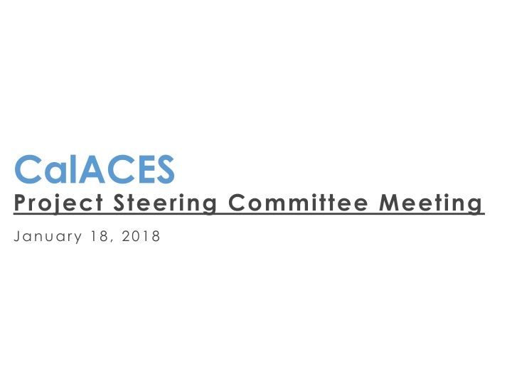 calaces project steering committee meeting