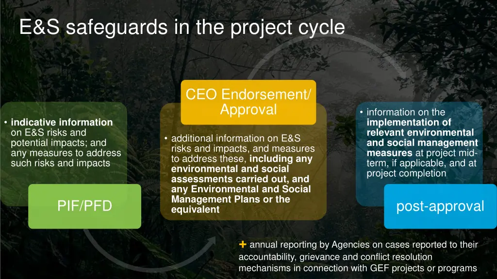 e s safeguards in the project cycle