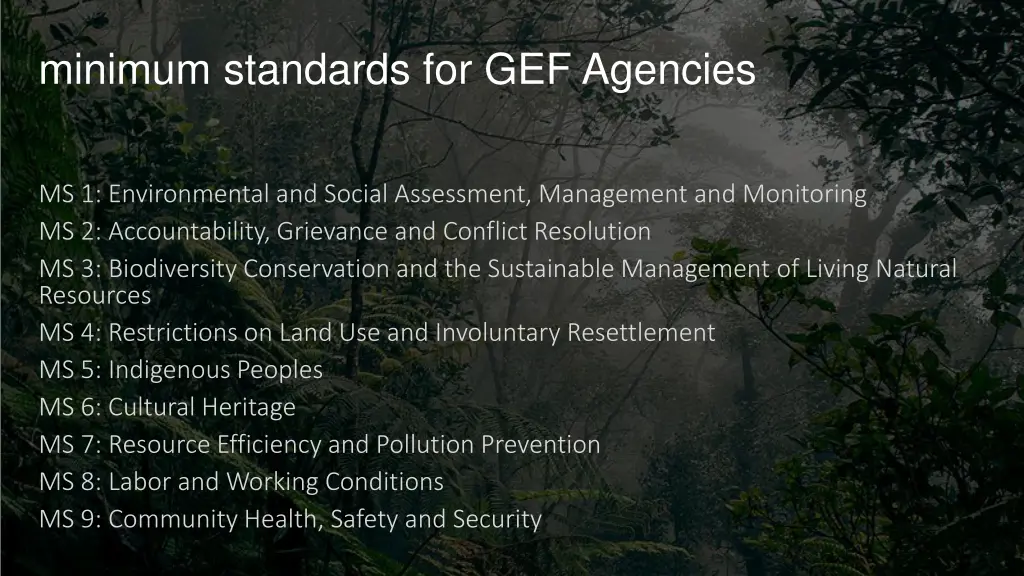 minimum standards for gef agencies