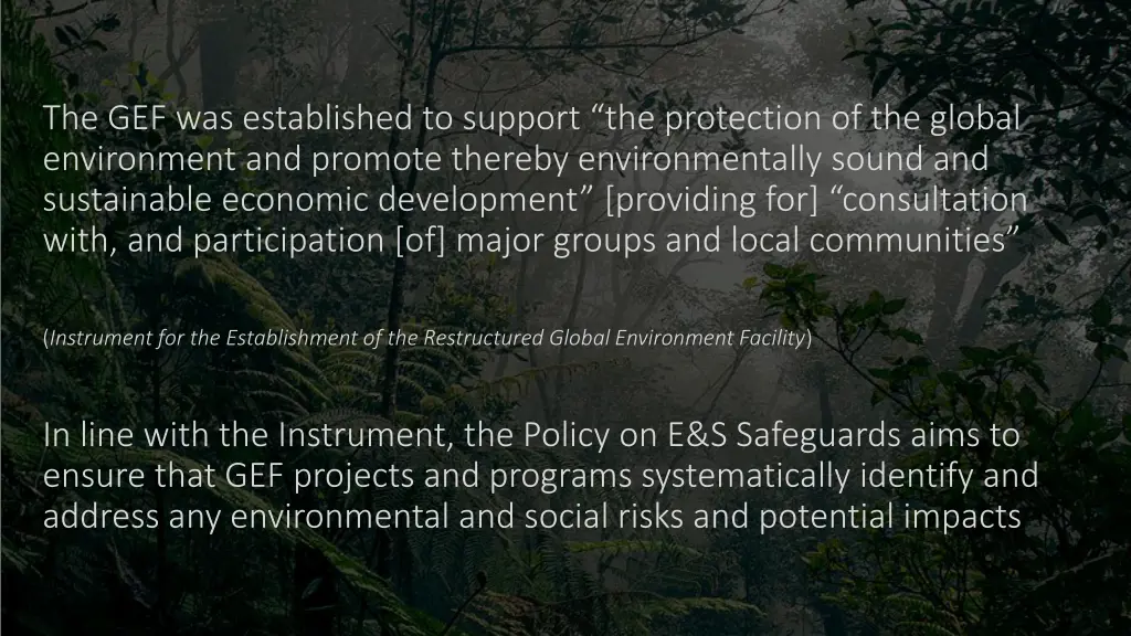 the gef was established to support the protection