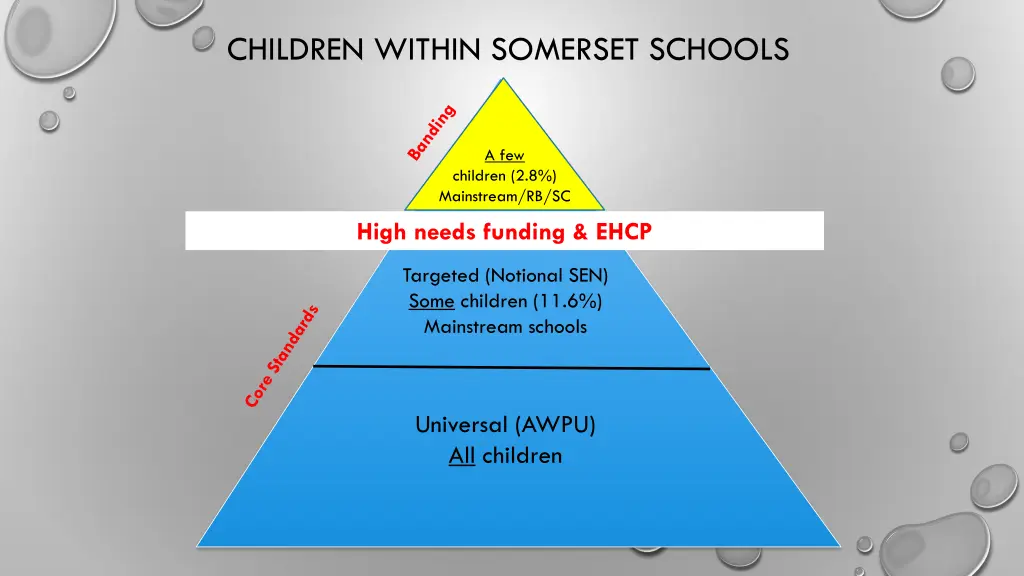 children within somerset schools