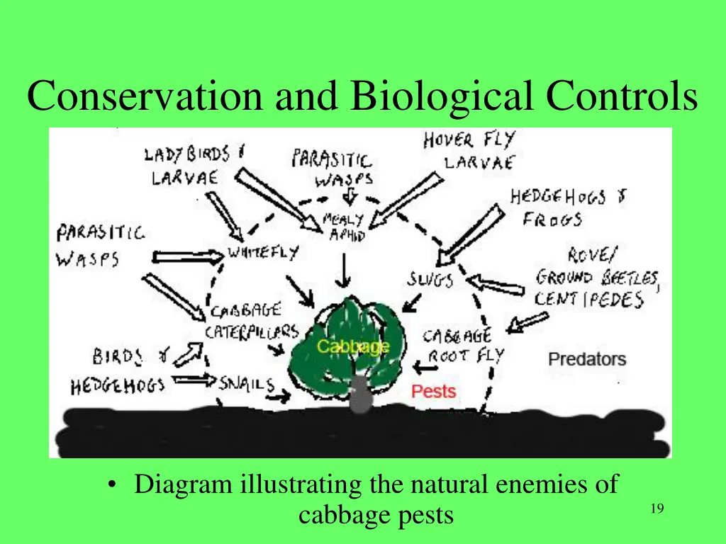 conservation and biological controls 1