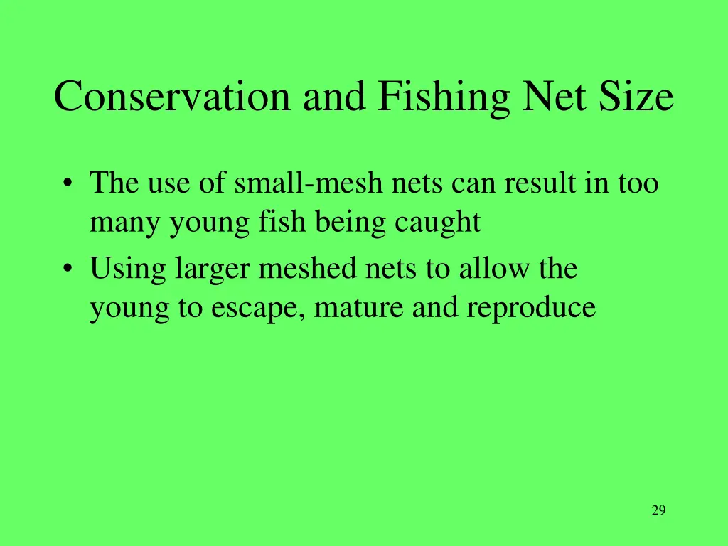 conservation and fishing net size