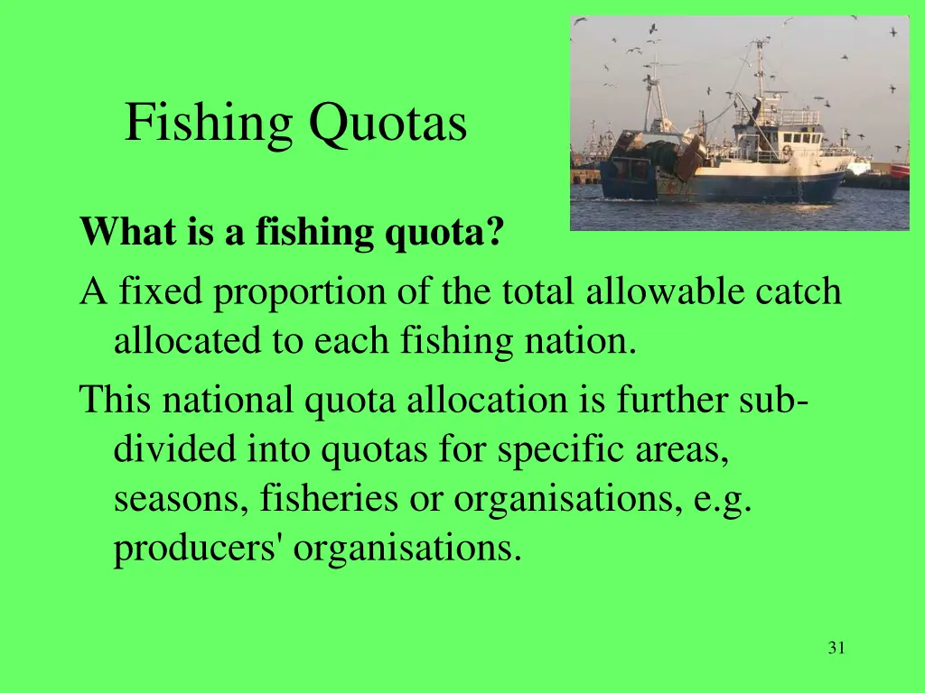 fishing quotas