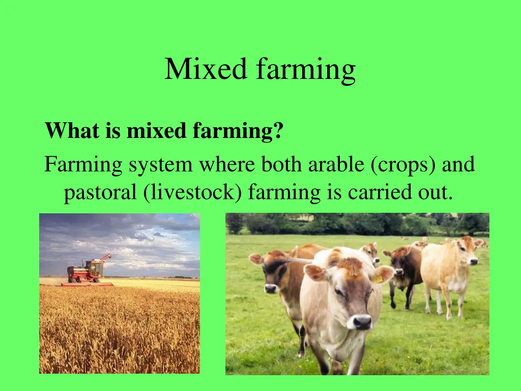 mixed farming