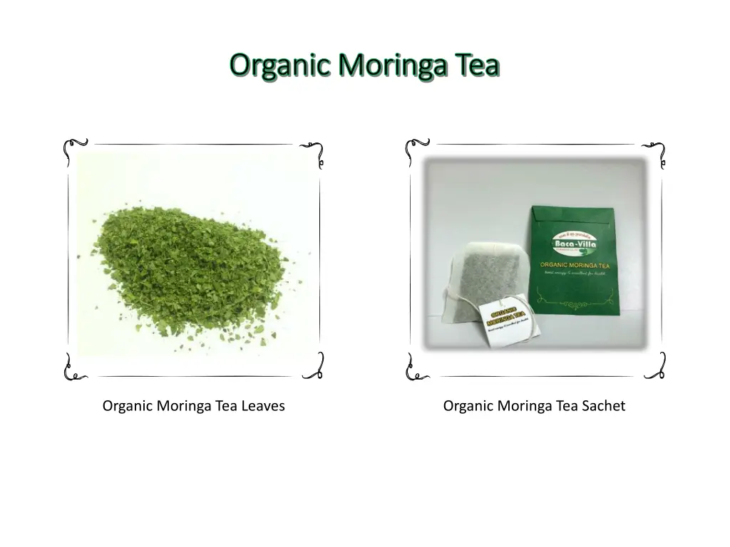 organic moringa tea organic moringa tea