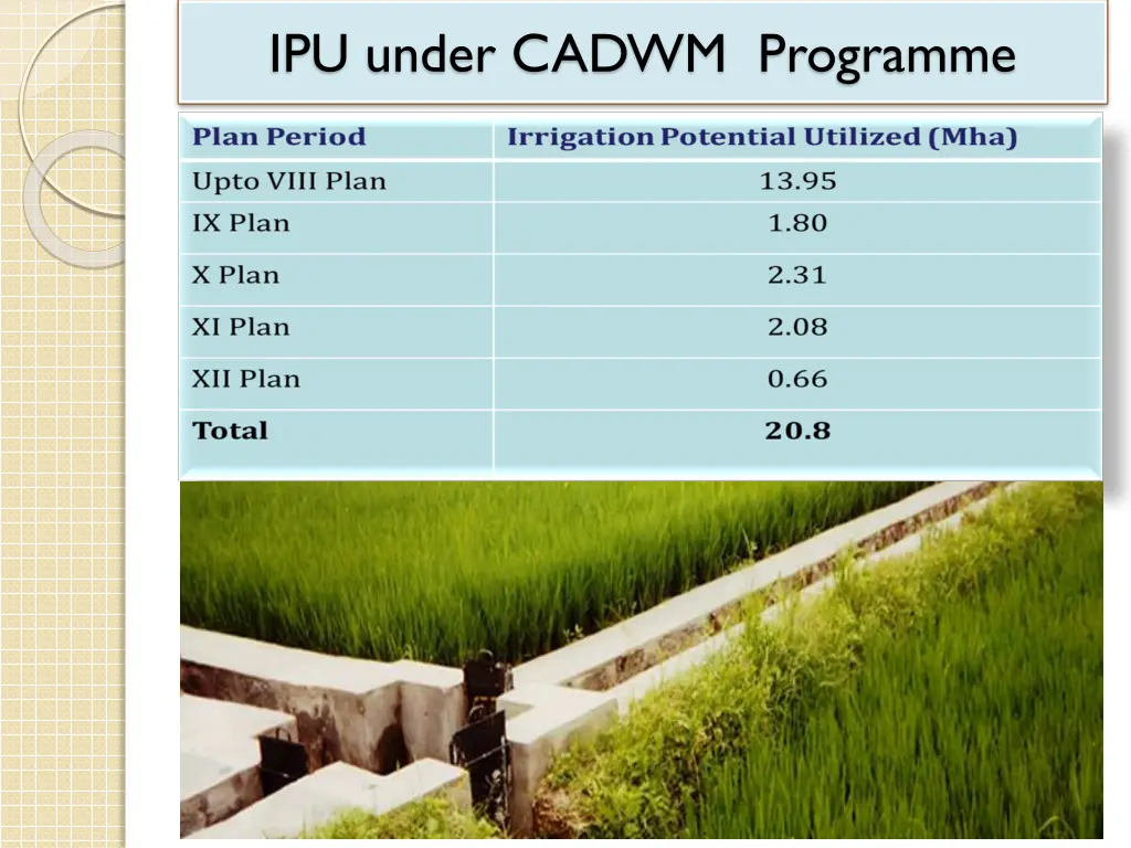 ipu under cadwm programme