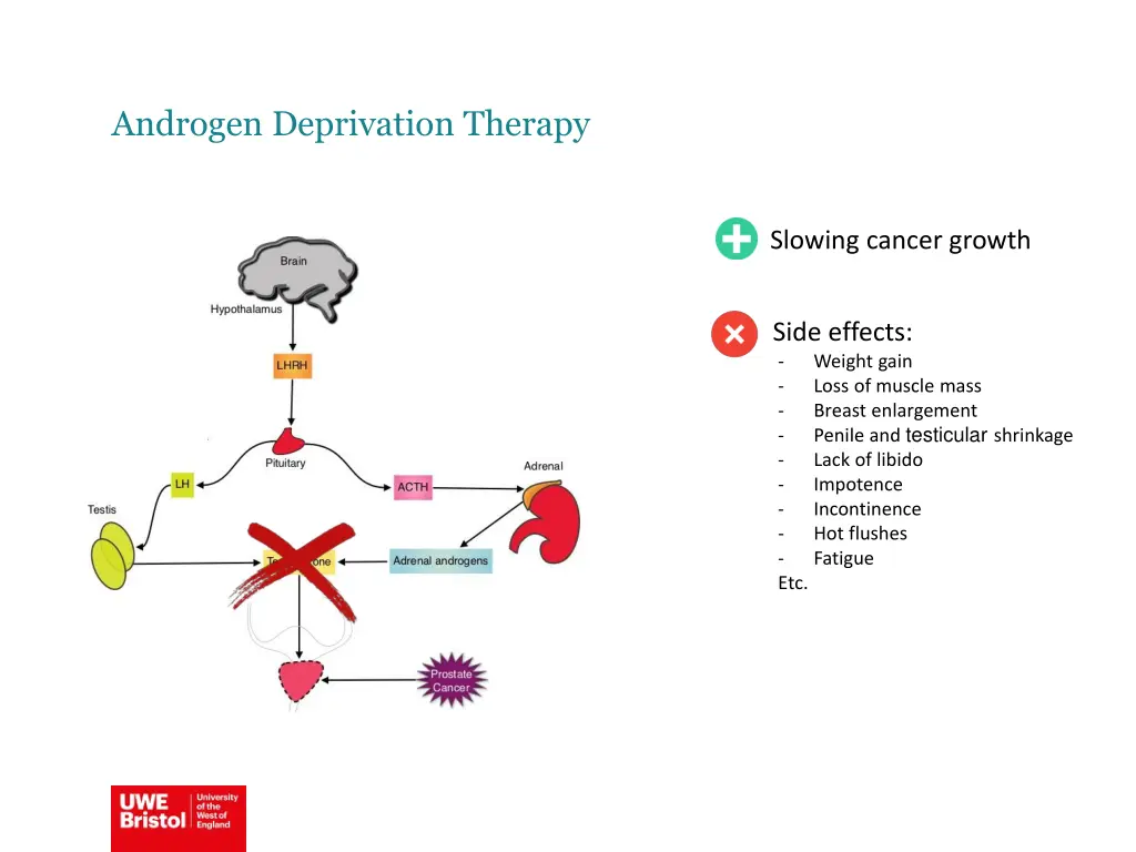 androgen deprivation therapy 3