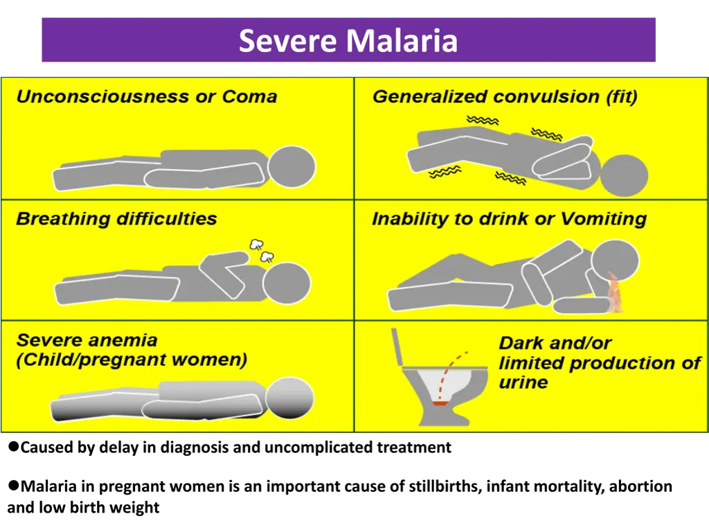 severe malaria