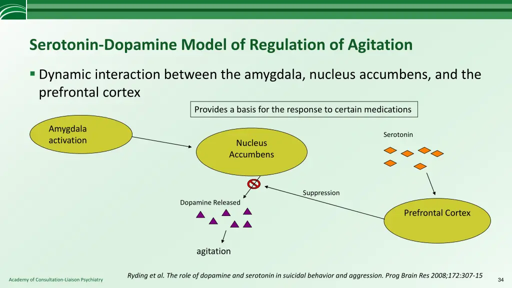 serotonin dopamine model of regulation