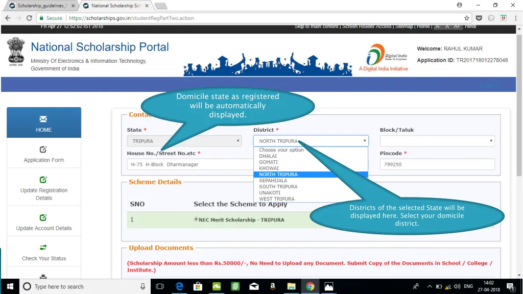 domicile state as registered will