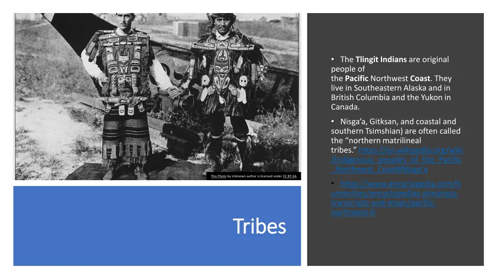 the tlingit indians are original people