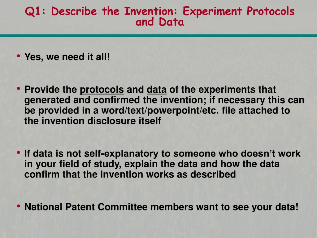 q1 describe the invention experiment protocols