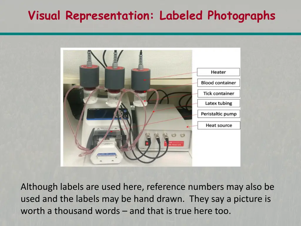 visual representation labeled photographs